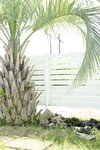 FRIDAYデジタル写真集 海老咲あお もぎたてＧカップ  vol.1 [86P-23MB]