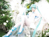 [Cosplay] Wanxi 挽希 - Miku The Butterfly Flower Fairy miku粉蝶花精灵