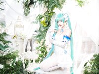 [Cosplay] Wanxi 挽希 - Miku The Butterfly Flower Fairy miku粉蝶花精灵