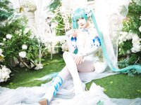 [Cosplay] Wanxi 挽希 - Miku The Butterfly Flower Fairy miku粉蝶花精灵