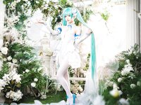 [Cosplay] Wanxi 挽希 - Miku The Butterfly Flower Fairy miku粉蝶花精灵