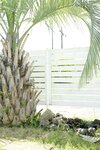 FRIDAYデジタル写真集 海老咲あお もぎたてＧカップ  vol.2 オール未公開１００カット超完全版 [154P-40MB]