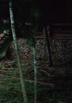 [Photobook] MINAMO写真集 愛の果実