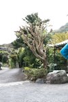 FRIDAYデジタル写真集 街山みほ「Ｓｃａｒｌｅｔ　スペシャルＥｄｉｔｉｏｎ　ｖｏｌ．２」