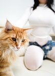 [Cosplay] 一只猫猫帽 - 居家妹妹
