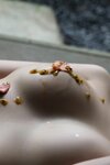 FRIDAYデジタル写真集 現役慶應大学生美女 街山みほ「秘宿」