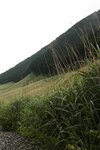 FRIDAYデジタル写真集 現役慶應大学生美女 街山みほ「秘宿」