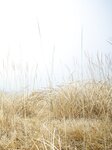 [Photobook]【電子版だけの特典カット付き】街山みほ写真集『Ｐｈａｎｔｏｍ』