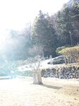 [Photobook]【電子版だけの特典カット付き】街山みほ写真集『Ｐｈａｎｔｏｍ』