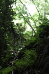 FRIDAYデジタル写真集 現役慶應大学生美女 街山みほ「秘宿／潮騒」１２０カット完全版