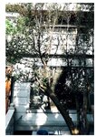 [Photobook] 2025.05.27 中田花奈 ２ｎｄ写真集 掻き立てる