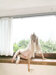 [Cosplay] 蠢沫沫 – 2025年5月-黄豆粉2.0 [221P-947M]