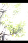 [Photobook] 妃ひかり オープンシャワー写真集 光りが射す方へ