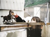 EX MAX! 2025.06 葉月あや 天月愛 茜紬うた 伊藤好玲 神楽いろは 川村あい 木南美々 小日向奏音  他