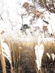 [Photobook] 街山みほ【Scarlet】