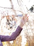 [Photobook] 街山みほ【Scarlet】