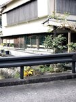 [Photobook] 街山みほ【Scarlet】