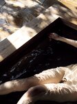 [Photobook] 街山みほ【Scarlet】