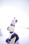 [Cosplay] [Shooting Star's] SAKU サク - Dangerous Beast