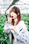[Cosplay] Ely_eee(ElyEE子) - Strawberry Picking Date