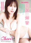 [Young Magazine] 2025 No.30