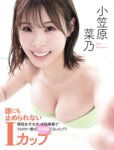[FLASH] 2025.07.08 No.1778 上戸彩 小日向結衣 つんこ 江籠裕奈 新田妃奈 天使もえ 小笠原菜乃