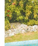 [Photobook] 2022.03.17 梅山恋和1st写真集 恋する人