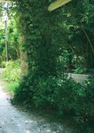 [Photobook] 2025.02.03 井桁弘恵写真集 つかのま