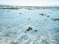 [Photobook] 九十九ぱて 1st e-book こっちにきて？(wunder publishing house)
