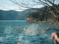 [Photobook] 芽衣 写真集 芽ばえちゃう (Wunder Publishing House)
