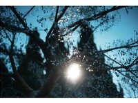 [Photobook] 芽衣 写真集 芽ばえちゃう (Wunder Publishing House)