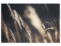 [Photobook] 芽衣 写真集 芽ばえちゃう (Wunder Publishing House)