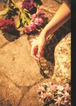 [Photobook] Hinako Kitano 北野日奈子 - Direction of Hope 希望の方角 (2022-02-08)