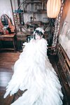 [Cosplay] Rabbit Zzz 兔子Zzz不吃胡萝卜 - Lucky Bird 吉祥鸟