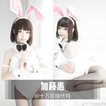 [Cosplay] Zhenzhu 十万珍吱伏特 - Megumi Kato Bunny Girl 加藤惠 兔女郎写真