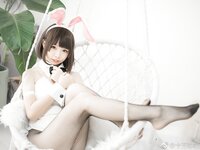 [Cosplay] Zhenzhu 十万珍吱伏特 - Megumi Kato Bunny Girl 加藤惠 兔女郎写真
