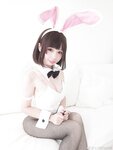 [Cosplay] Zhenzhu 十万珍吱伏特 - Megumi Kato Bunny Girl 加藤惠 兔女郎写真