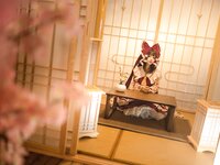 [Cosplay] Hana 花柒 - Forest Spirit Dream 森森仙灵梦