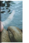 [Photobook] 2024.12.05 AKB48 大盛真歩 1st写真集「ずっと、好きでいたい」
