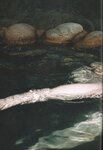[Photobook] 2024.12.05 AKB48 大盛真歩 1st写真集「ずっと、好きでいたい」