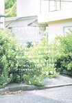 [Photobook] 2024.12.05 AKB48 大盛真歩 1st写真集「ずっと、好きでいたい」