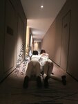 [Cosplay] 布丁大法 NO.021 – 030