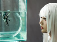 [Cosplay] Rabbit Zzz 兔子Zzz不吃胡萝卜 - White-haired Princess 白发姬