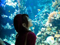 [Graphis] Autumn Special 2015 Rio Asahi 朝日りお - My Funny Girlfriend