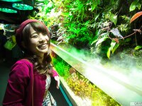 [Graphis] Autumn Special 2015 Rio Asahi 朝日りお - My Funny Girlfriend