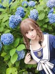 [Cosplay] Lin Zi Lin 凛子酱 - Hydrangea 紫阳花