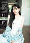 [Young Jump] 2025 No.35