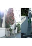 [Photobook] 石川澪《とられち》
