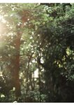 [Photobook] 石川澪《とられち》
