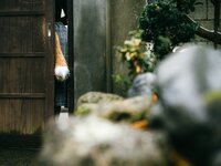 [Cosplay] (CH25) [Choukyou Mazo] Moka Fukuda 福田もか ぼくのもとにとつぜん、どんぎつねが舞い降りた。